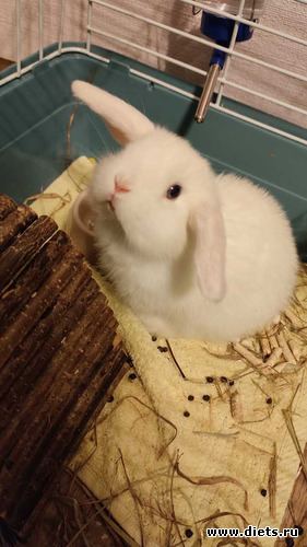 67 : 100  &quot; &quot;