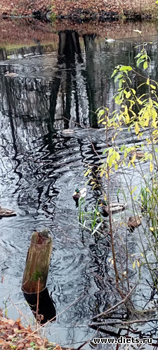 47 фото: 100 фотозарисовок "Радость внутри"