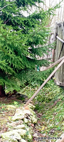 53 : 100  &quot; &quot;