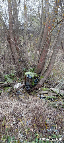 54 : 100  &quot; &quot;