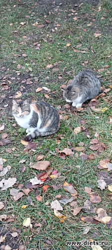 56 фото: 100 фотозарисовок "Радость внутри"