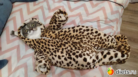 58 : 100  &quot; &quot;