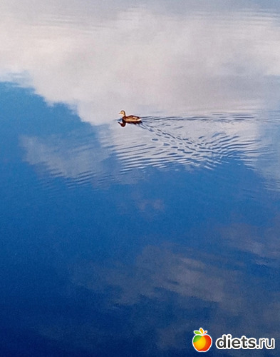 59 : 100  &quot; &quot;