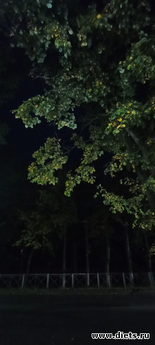 фото 9 - 01.10.22 - утро...5-50...жду автобус...попробовала ночную съемку))), альбом: 100 фотозарисовок "Радость внутри"