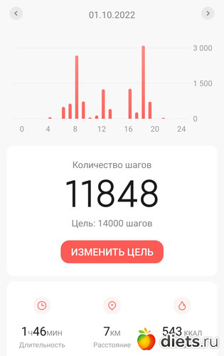 499 фото: ! Шаги