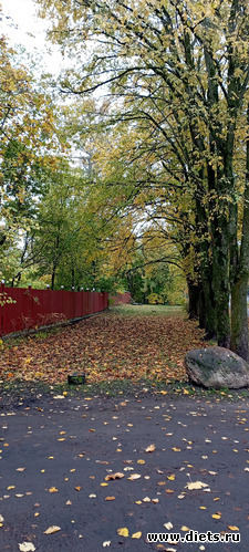  13...05.10.22...  .... &quot; &quot;, : 100  &quot; &quot;