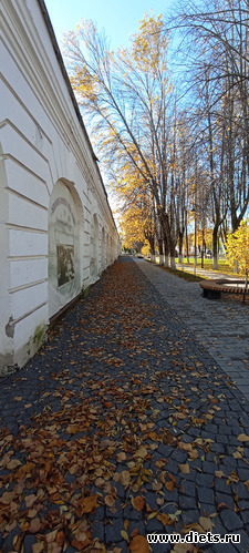  17.... 08.10.22.     ... ...   ))), : 100  &quot; &quot;