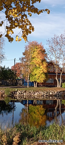  19...10.10.22...   ...      ... ......      ))), : 100  &quot; &quot;