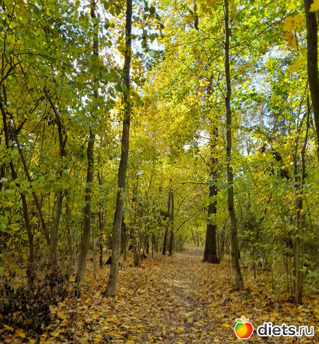 14 фото: 100 дней счастья