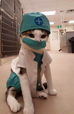 ����, �� ������ �� �����. ������ �� �������, ���� �� �������/ ����������� ����� ��������������, �������� ������ �����������...