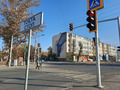 узнали лошадь?