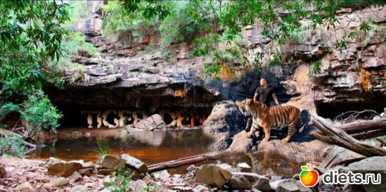 22 фото: 100 дней счастья