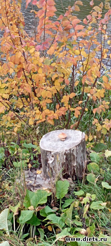  20...11.10.2022, : 100  &quot; &quot;