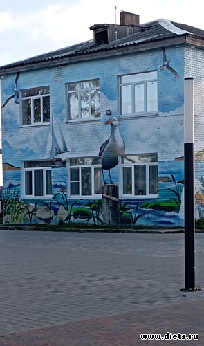 23 фото: 100 фотозарисовок "Радость внутри"