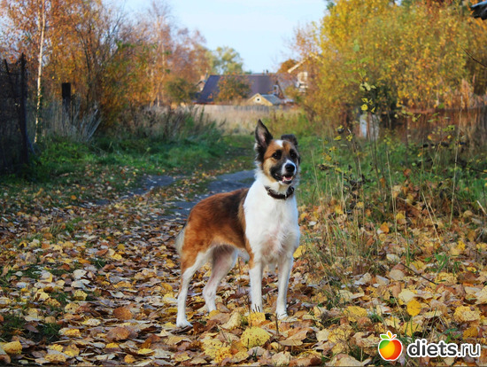 25 фото: 100 фотозарисовок "Радость внутри"