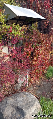 43 фото: 100 фотозарисовок "Радость внутри"