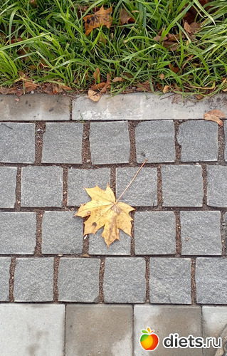 44 : 100  &quot; &quot;