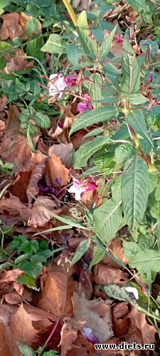 45 : 100  &quot; &quot;