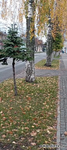 28 : 100  &quot; &quot;