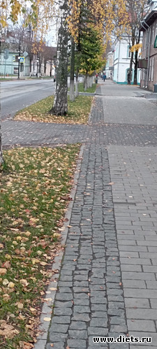 29 фото: 100 фотозарисовок "Радость внутри"