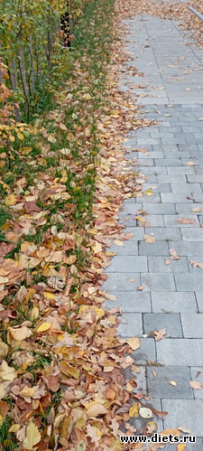 30 : 100  &quot; &quot;