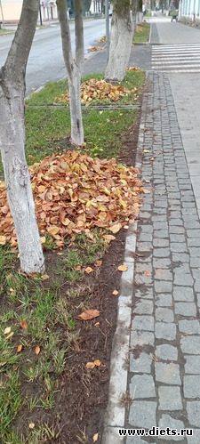 31 : 100  &quot; &quot;