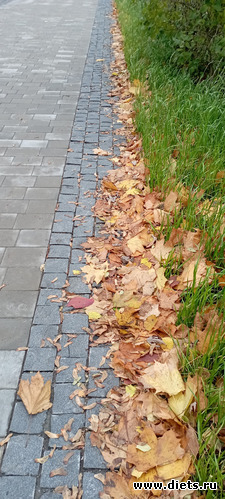 34 : 100  &quot; &quot;