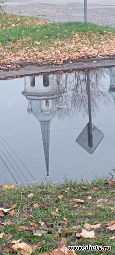 36 : 100  &quot; &quot;