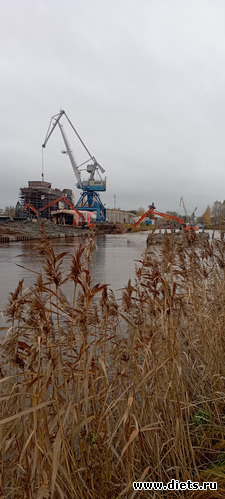 38 : 100  &quot; &quot;