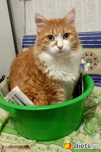 39 : 100  &quot; &quot;