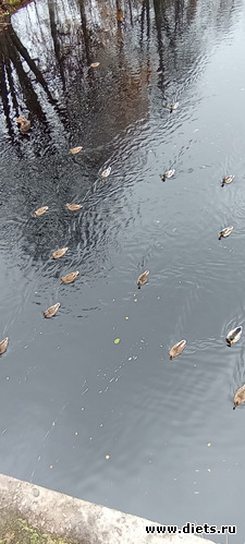 40 : 100  &quot; &quot;