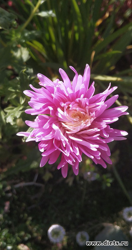 5 фото: Разное