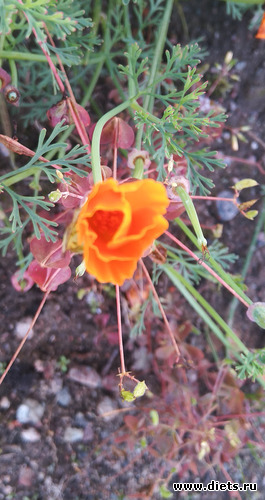 7 фото: Разное