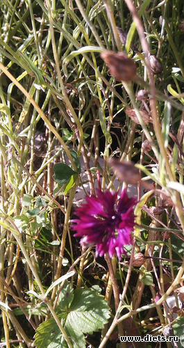 10 фото: Разное