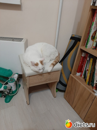 26 фото: Осень 2022