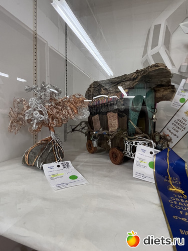 30 фото: County fair