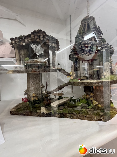 31 фото: County fair