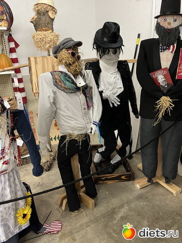 1 фото: County fair