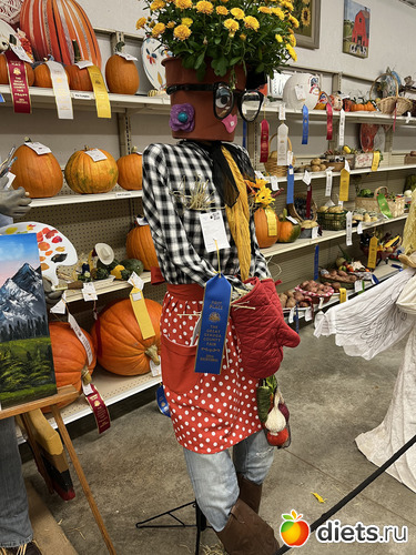 4 фото: County fair