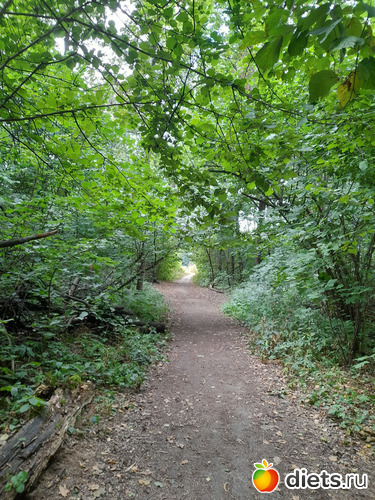 6 фото: Теренкур