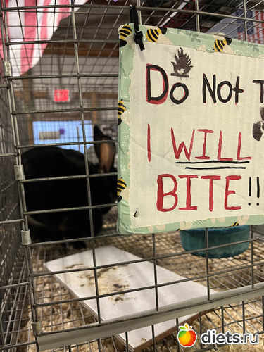 14 фото: County fair