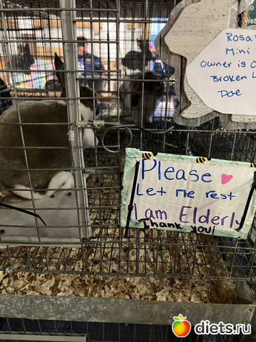 20 фото: County fair