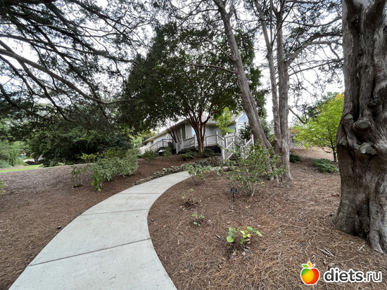 3 фото: Botanical garden, Alabama