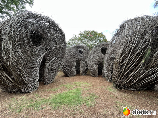 6 ����: Botanical garden, Alabama