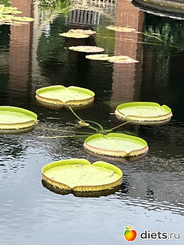 8 ����: Botanical garden, Alabama