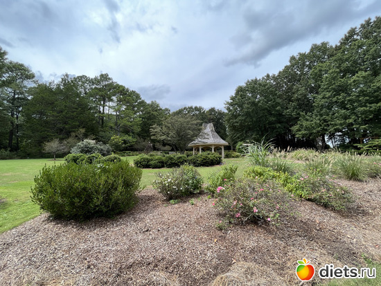 10 ����: Botanical garden, Alabama