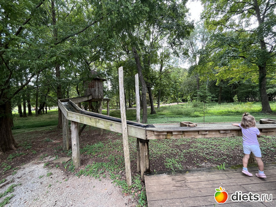 16 фото: Botanical garden, Alabama