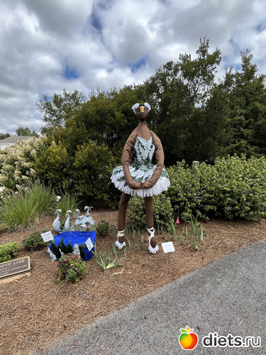 18 фото: Botanical garden, Alabama