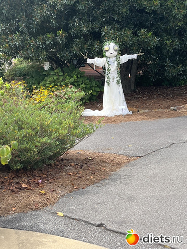 21 фото: Botanical garden, Alabama