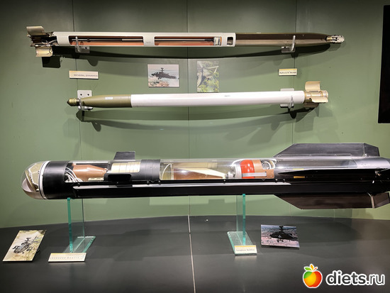 31 фото: Botanical garden, Alabama